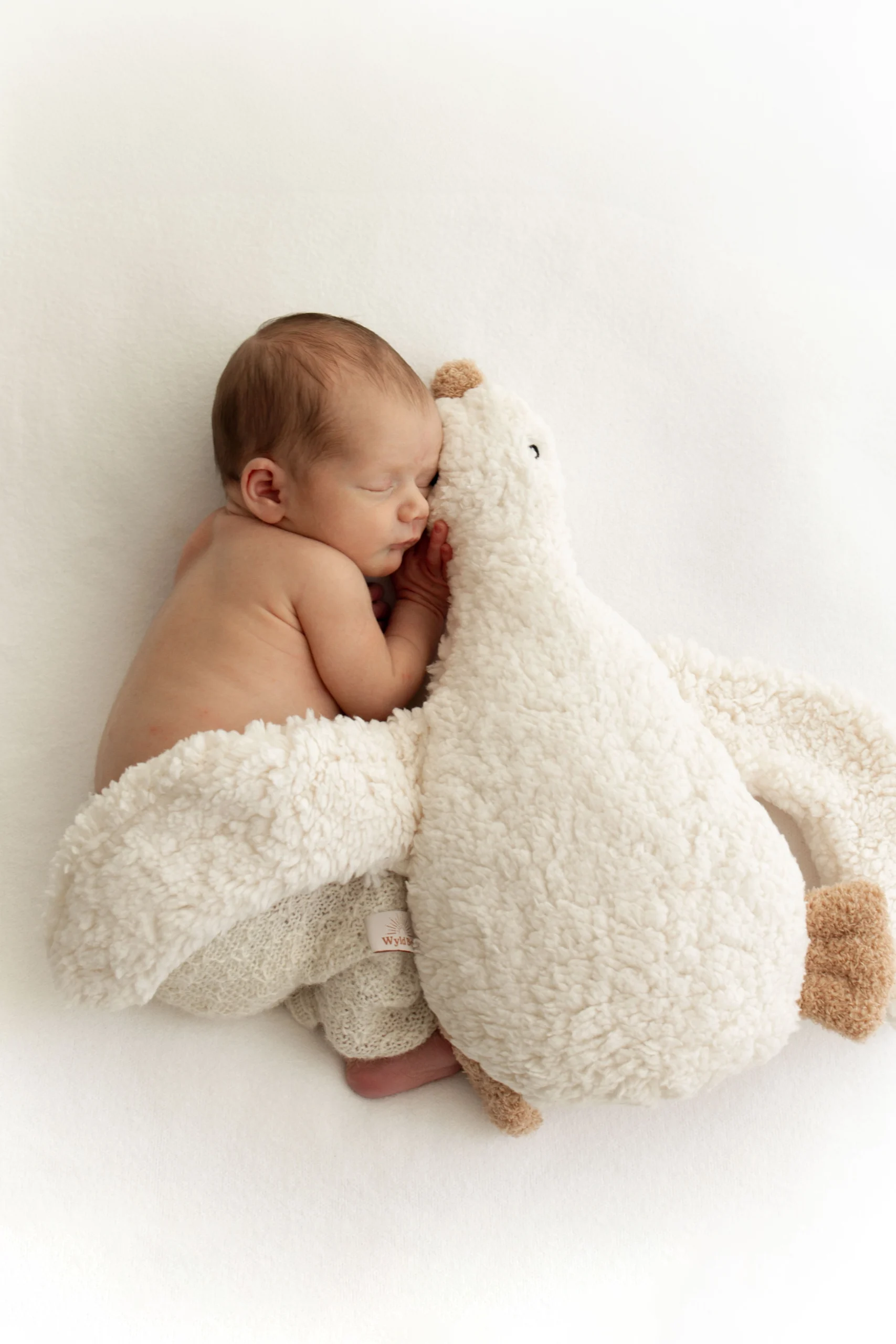 Wimbledon newborn photograher